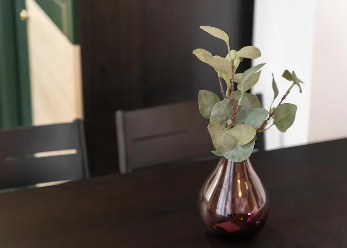 Kamienica Centrum Nr 5 Szczecin